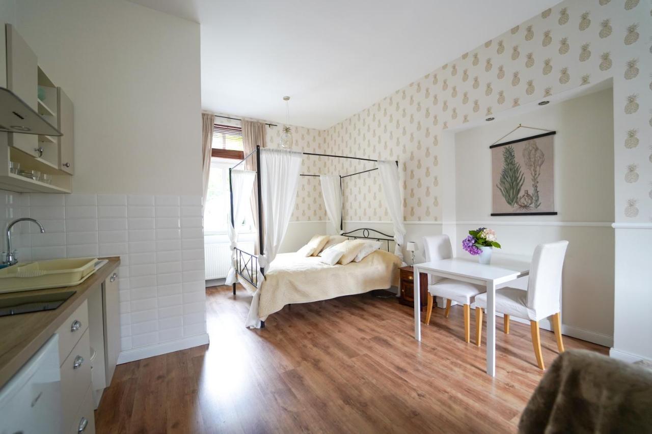 Spa Apartments Theresia Dubí Exteriér fotografie