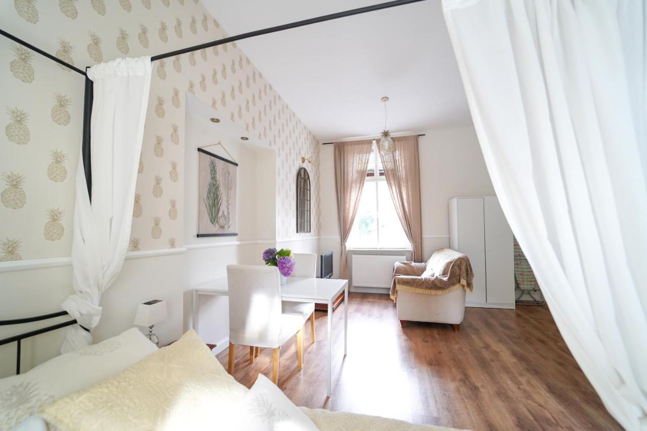 Spa Apartments Theresia Dubí Exteriér fotografie